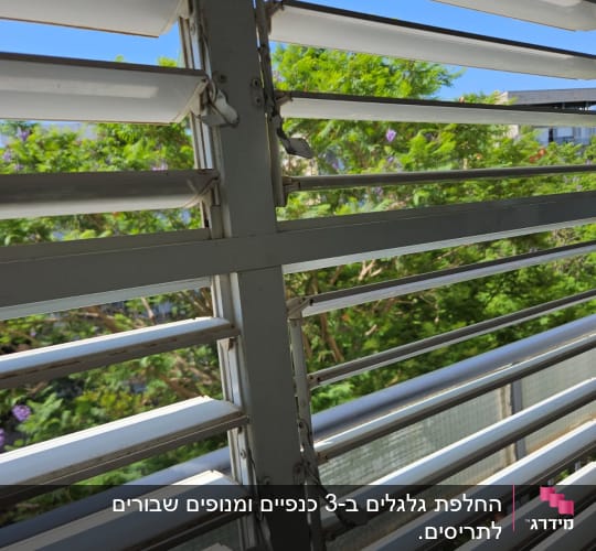תריסים לבנים עם נוף של עצים ברקע